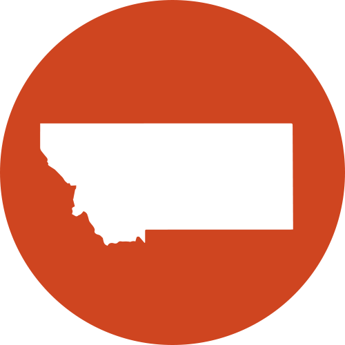 Montana State Icon